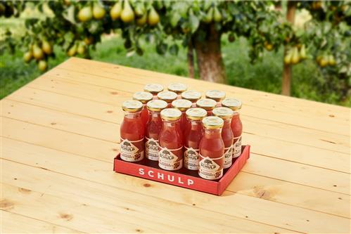 Schulp appel & cranberrysap 20cl x 15