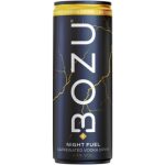 Bozu Night Fuel 4,5% 25cl Per Blik, Tray 12 Blikken